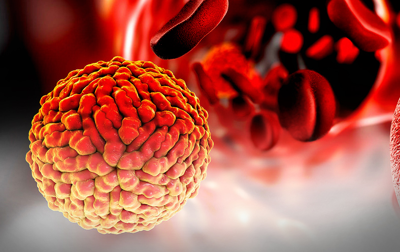 virus zika mosquito mosquitoes raises awareness